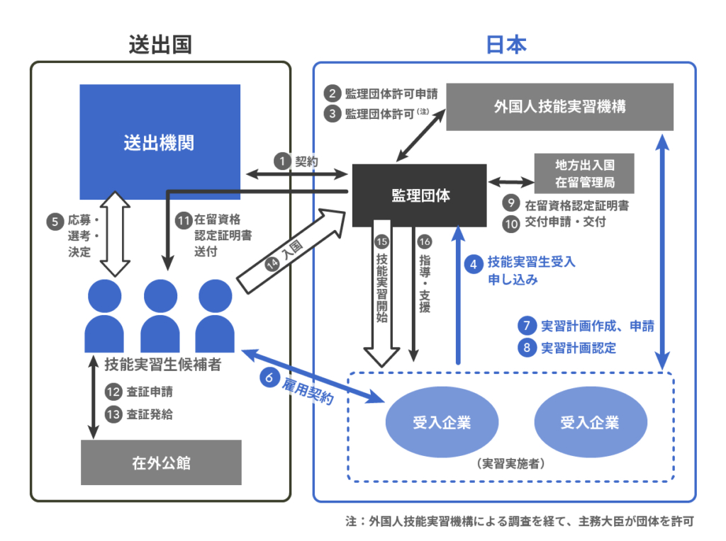 実習フローチャート